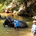 Maesa elephant camp Chiang Mai