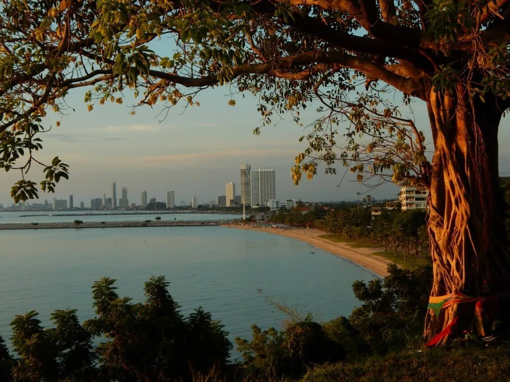 Thailand spirit trees