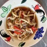 Mushroom farming in Thailand