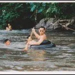 The king of thailand