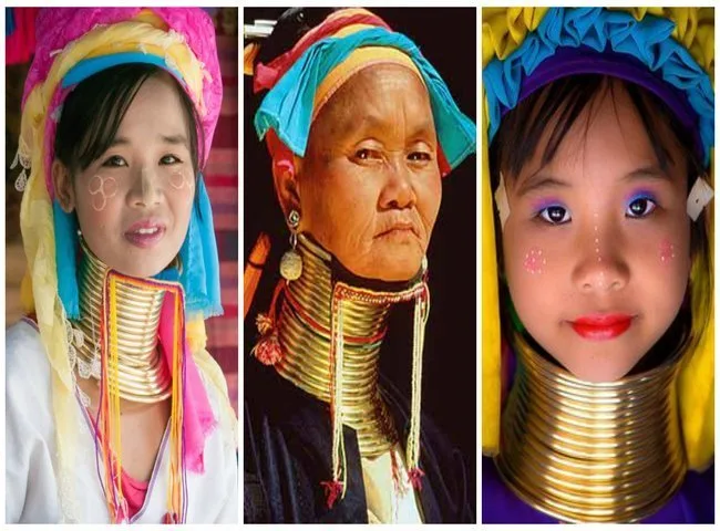 Hill Tribes Thailand Padaung Travel Thailand