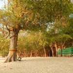 Tien beach Koh Larn Pattaya