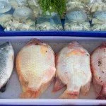 Koh Lan Seafood Market Discover Thailand