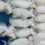 Koh Lan Seafood Market Discover Thailand