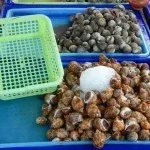 Koh Lan Seafood Market Discover Thailand