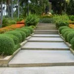 Pattaya Attractions Wat Yan