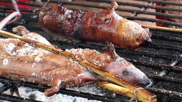 Thai Food and Recipe Rats